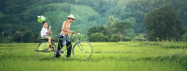 캄보디아 시엠립 8월 날씨 여행 캄보디아날씨 옷차림