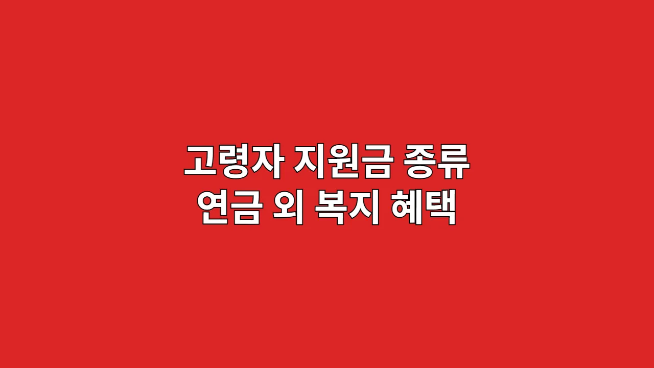 고령자 지원금 종류 연금 외 복지 혜택