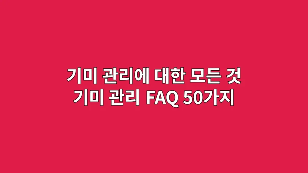 기미 관리에 대한 모든 것 기미 관리 FAQ