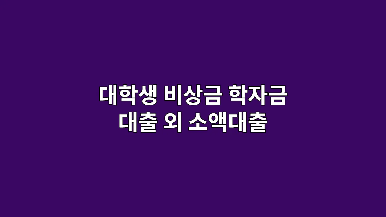 대학생 비상금 학자금 대출 외 소액대출