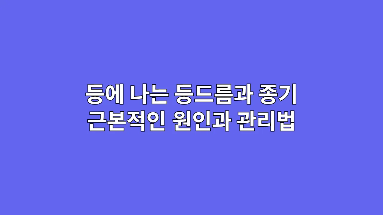 등에 나는 등드름과 종기 근본적인 원인과 관리법