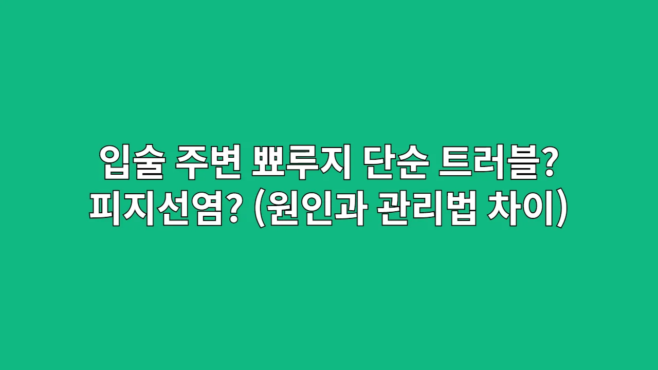 입술 주변 뾰루지 단순 트러블? 피지선염? (원인과 관리법