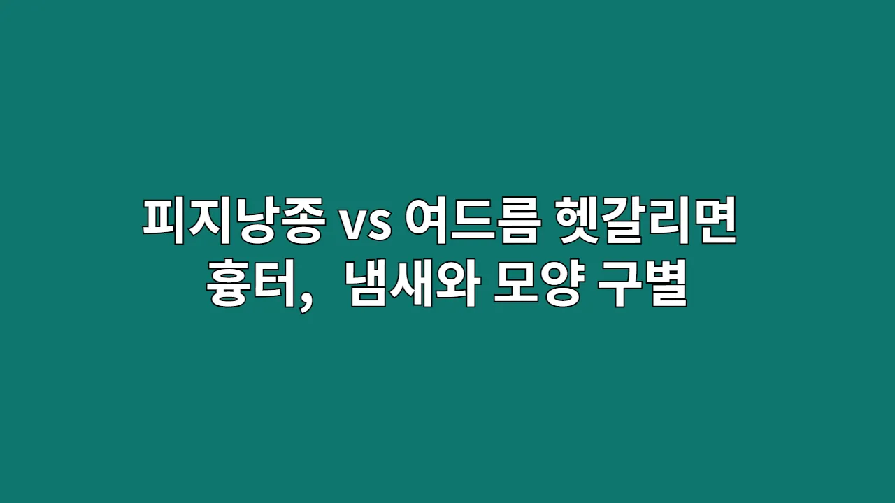 피지낭종 vs 여드름 헷갈리면 흉터 냄새와 모양 구별