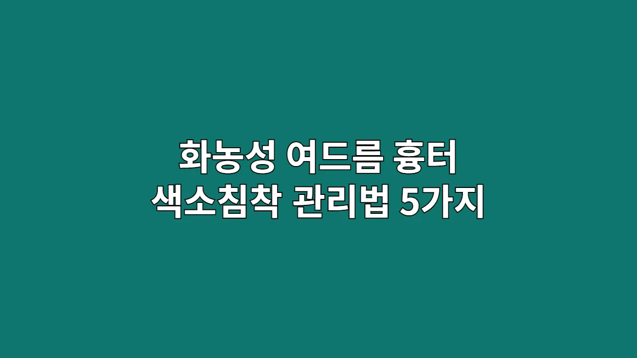 화농성 여드름 흉터 색소침착 관리법 5가지