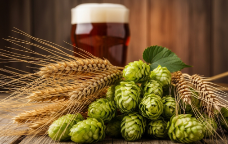 맥주 샴푸와 일반 샴푸의 차이점