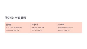 헷갈리는 반입 물품