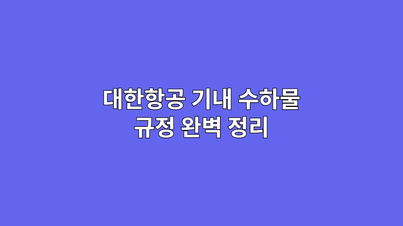 대한항공기내수하물규