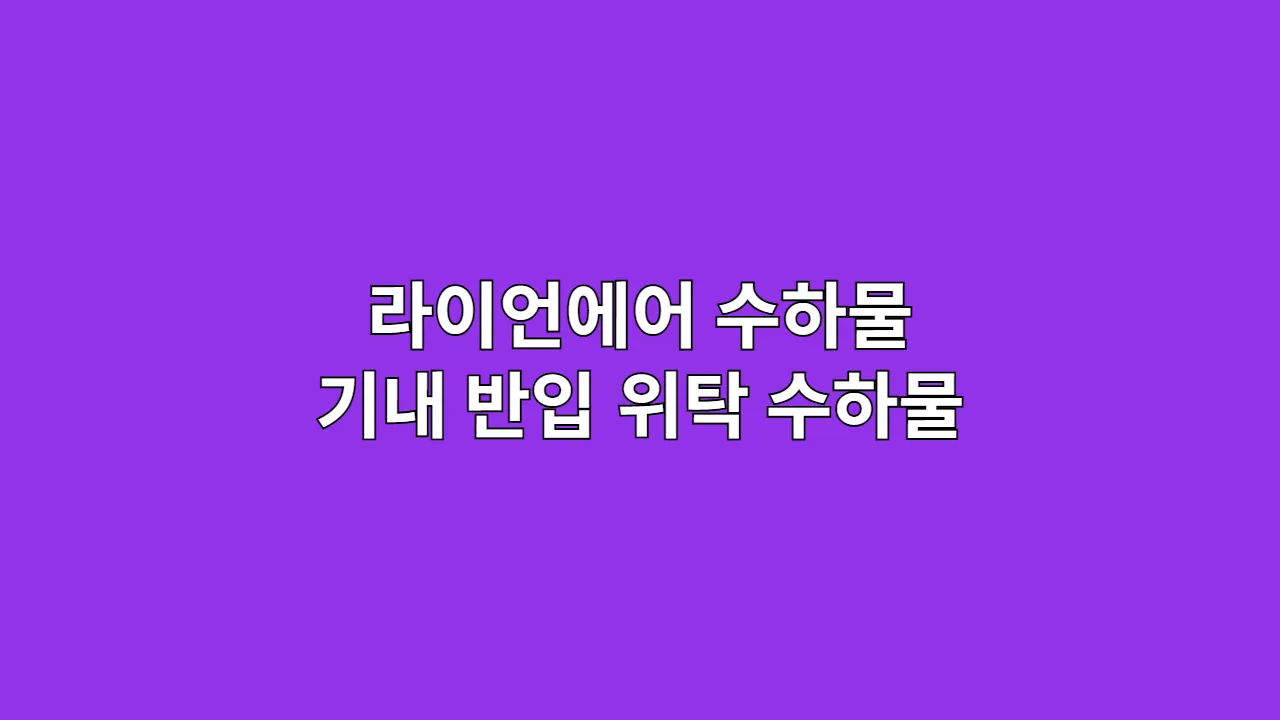 라이언에어 수하물 기내 반입 위탁 수하물