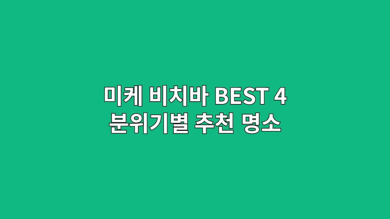 미케비치바BEST4