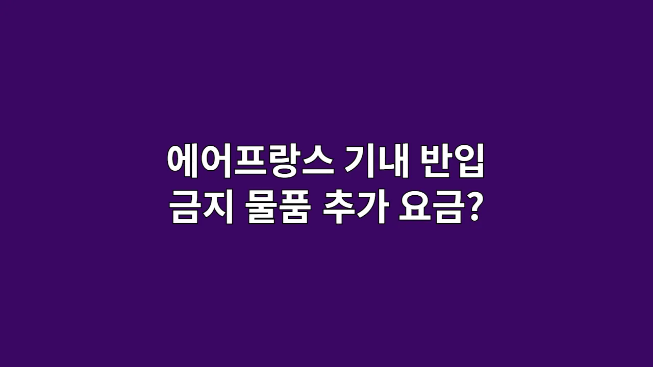 에어프랑스 기내 반입 금지 물품 추가 요금?
