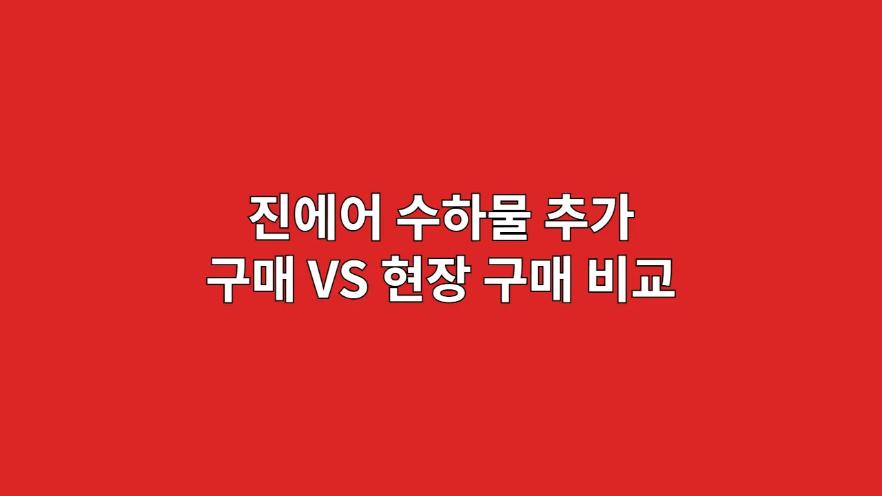 진에어수하물추가구매