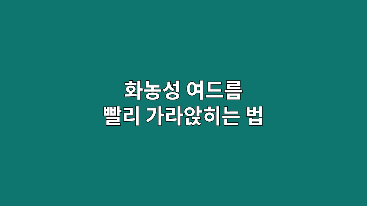 화농성 여드름 빨리 가라앉히는 법