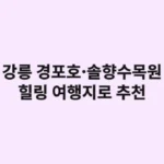 혼자 떠나는 강릉 힐링 여행: 경포호와 솔향수목원에서 나를 찾는 시간