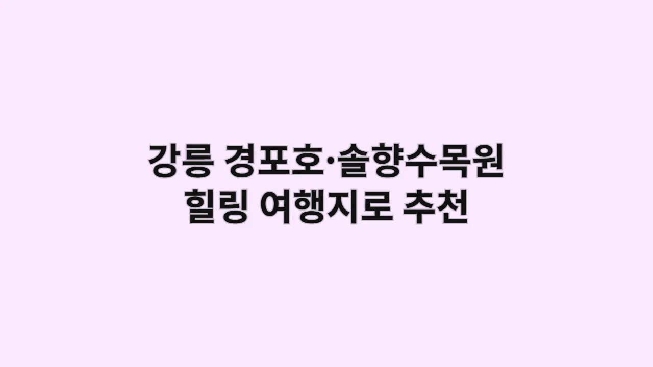 혼자 떠나는 강릉 힐링 여행: 경포호와 솔향수목원에서 나를 찾는 시간