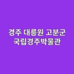역사 덕후를 위한 경주 시간여행, 대릉원과 국립경주박물관 완벽 공략법