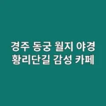 연인과 경주 동궁과월지 야경부터 황리단길 카페까지, 완벽한 데이트 시나리오