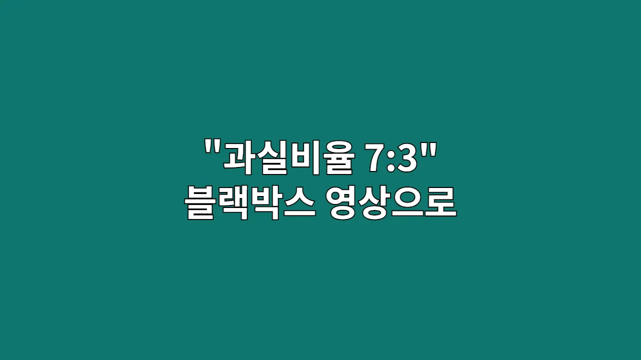 "과실비율 7:3 나왔습니다"...블랙박스 영상으로 100:0 만드는 법