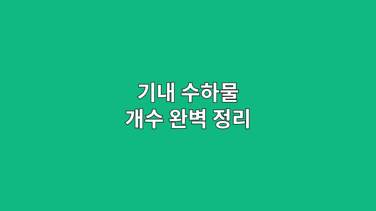 기내 수하물 개수 완벽 정리
