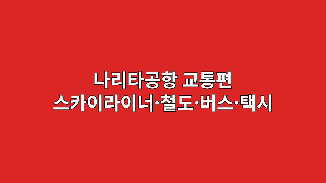 나리타공항교통편스카