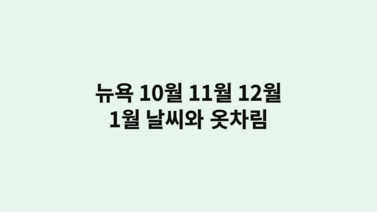 미국 10월, 11월, 12월, 1월 뉴욕 날씨와 옷차림 타임스퀘어 (N년차 여행)