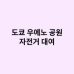 도쿄 우에노 공원 자전거 대여 코스·이용 방법