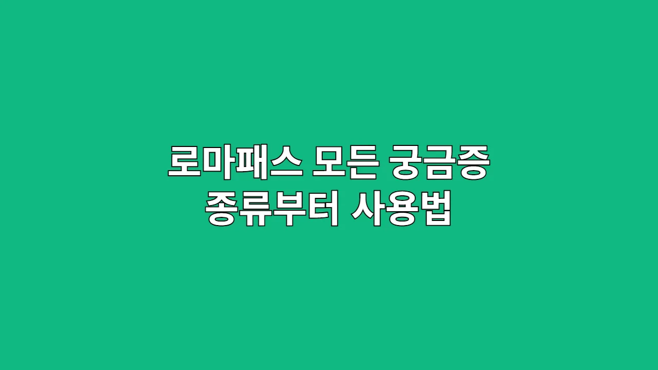 로마패스 모든 궁금증 종류부터 사용법