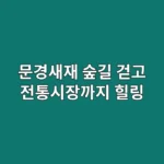 부모님과 함께 걷는 문경새재 숲길, 문경전통시장까지 힐링 산책 코스 제안