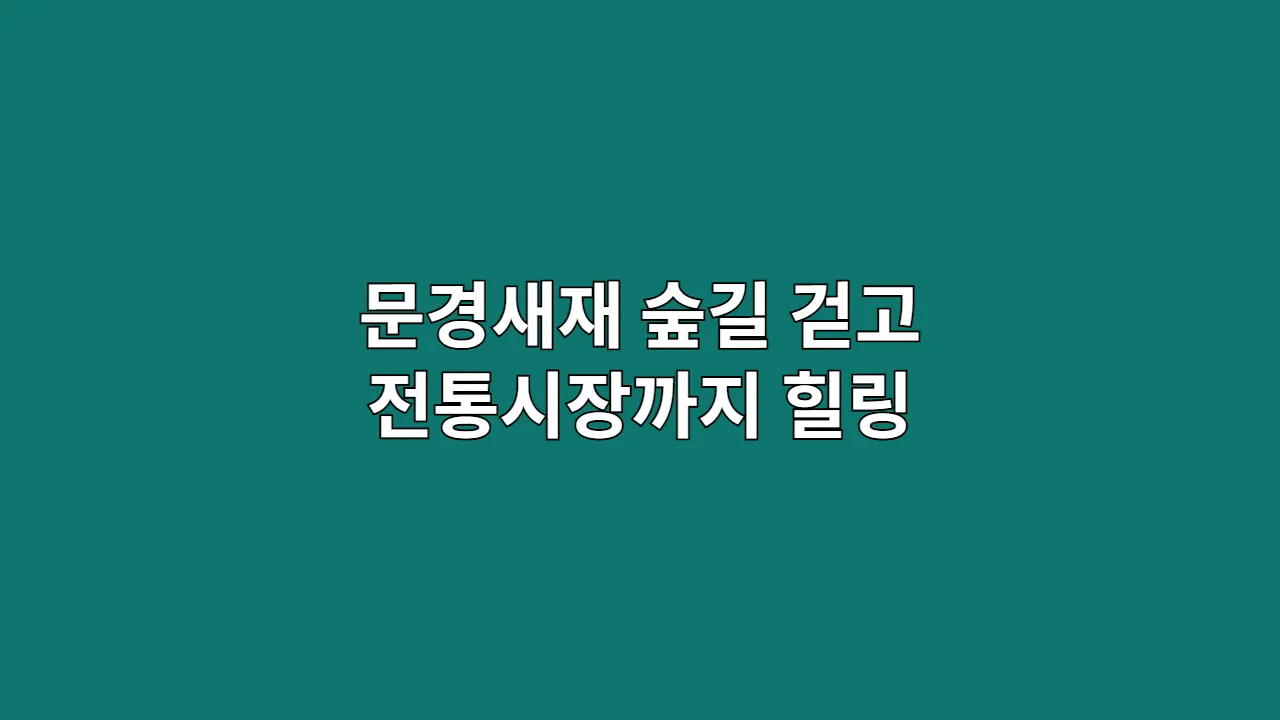 부모님과 함께 걷는 문경새재 숲길, 문경전통시장까지 힐링 산책 코스 제안