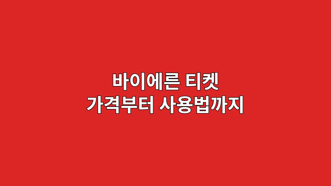 바이에른 티켓 가격부터 사용법까지