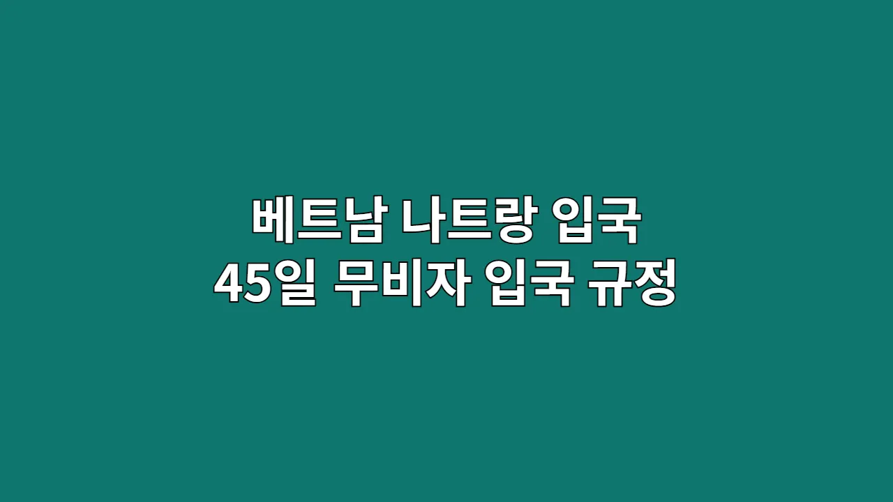 베트남나트랑입국45