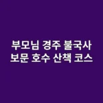 부모님과 함께 경주 불국사·보문정 호수 따라 천천히 걷는 힐링 산책