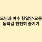 부모님과 여수 향일암·오동도 동백길 따라 바다전망 천천히 즐기기