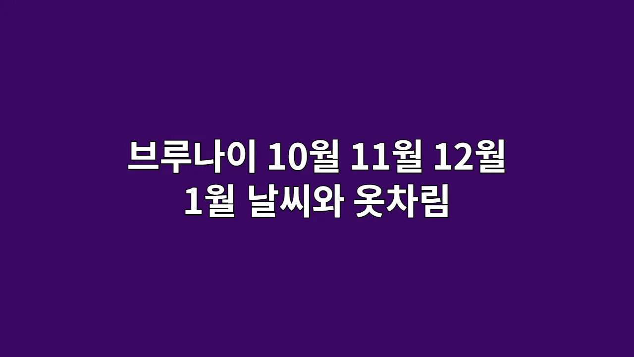 브루나이10월11월