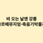 강릉 비 오는 날 실내 데이트: 아르떼뮤지엄과 축음기박물관에서 찾는 의외의 낭만