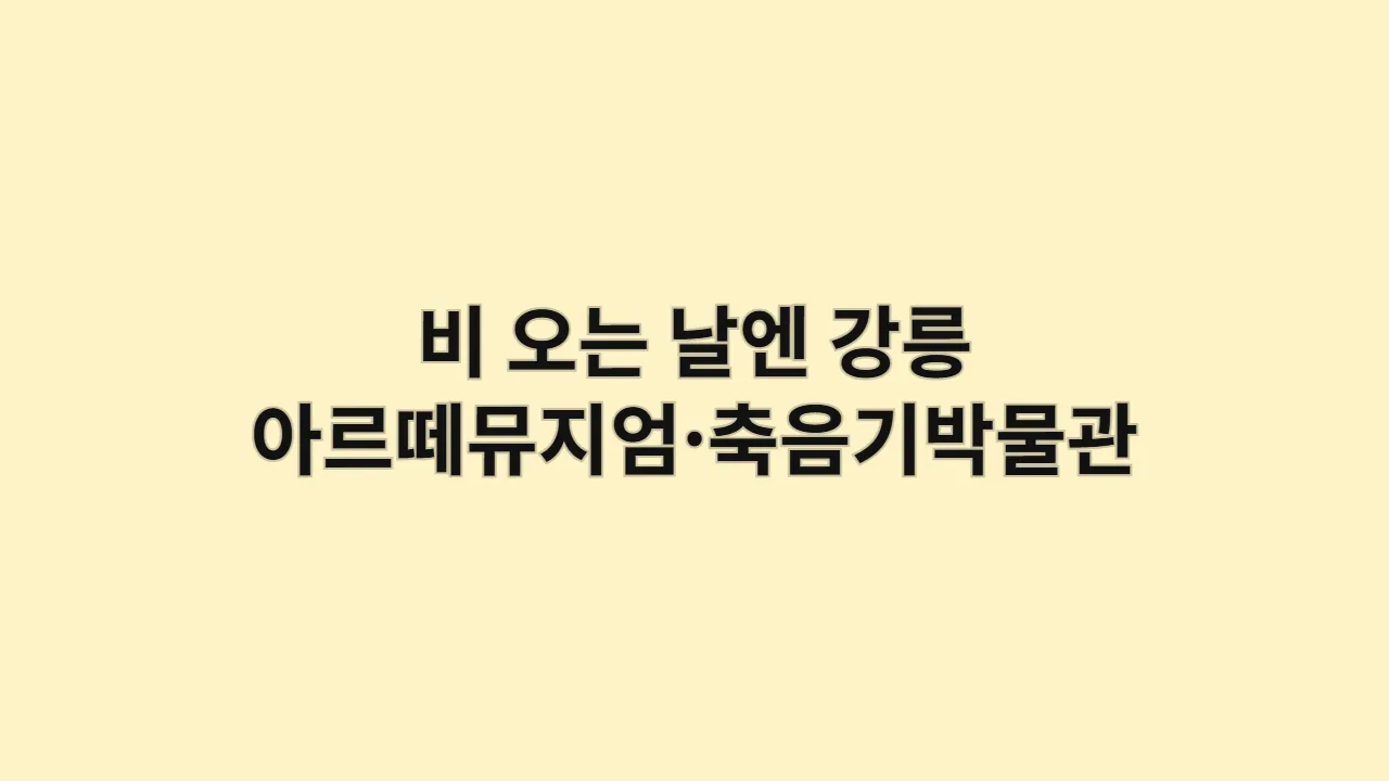 강릉 비 오는 날 실내 데이트: 아르떼뮤지엄과 축음기박물관에서 찾는 의외의 낭만