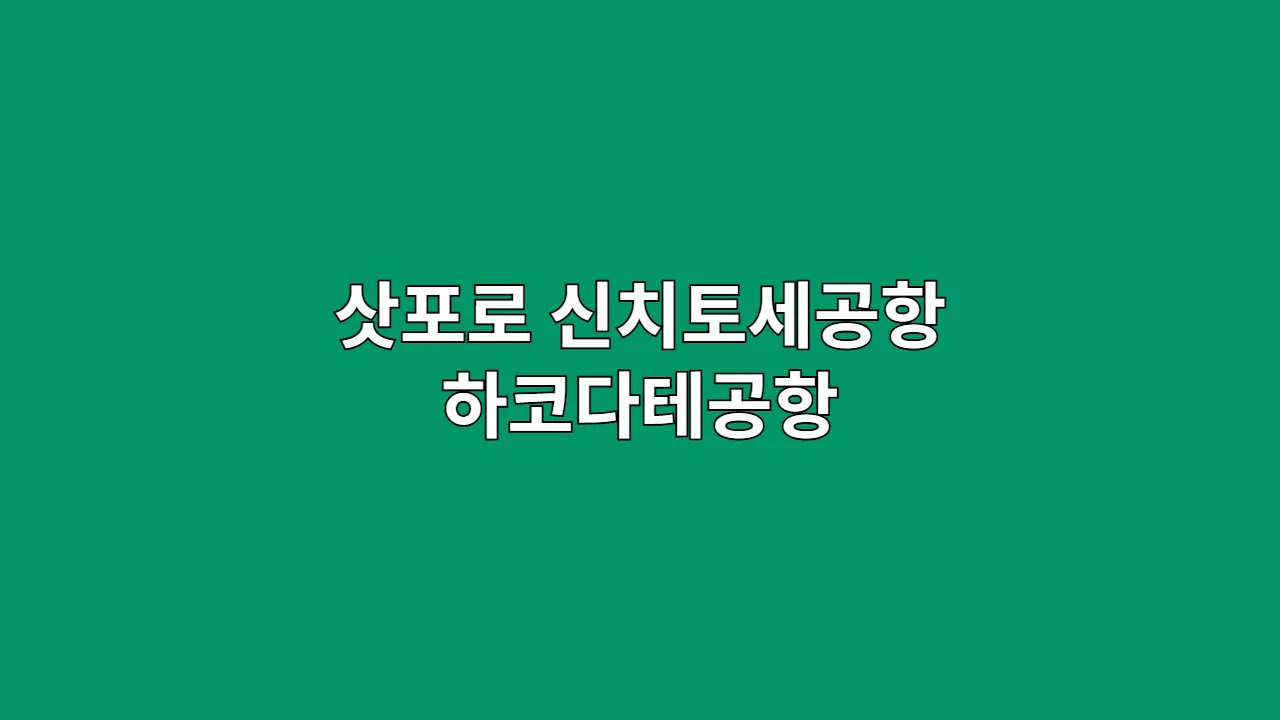 삿포로신치토세공항하