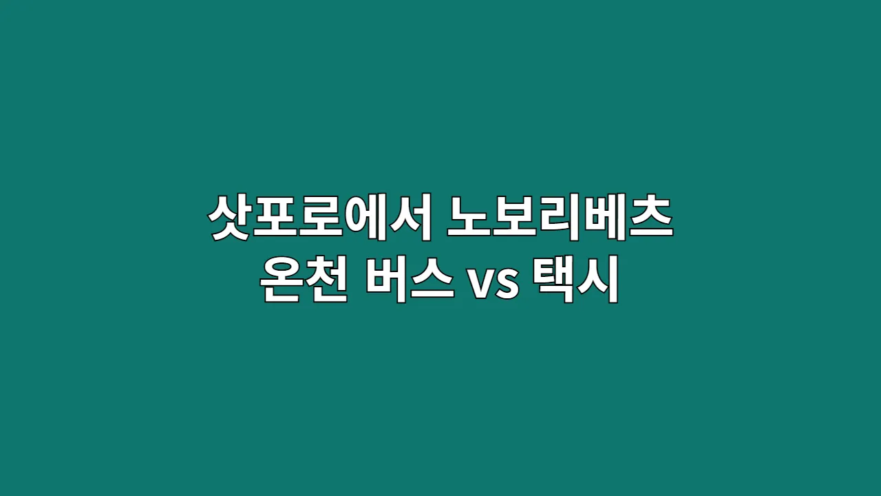 삿포로에서 노보리베츠 가는 법: 온천 버스 vs 택시, 시간·예산 기준 비교