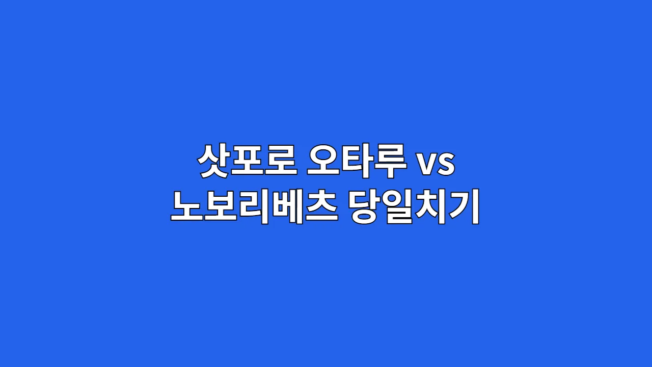 삿포로오타루vs노보