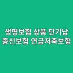 생명보험 상품 선택, 단기납 종신보험 vs 연금저축보험, 사회초년생 목돈 마련에 절대 후회 안 하는 최고의 선택은? (내돈내산 후기)