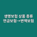 생명보험 상품 종류: 연금보험→변액보험&, 복잡한 저축성보험 종류 완벽 분석하고 사업비 폭탄 피하는 법