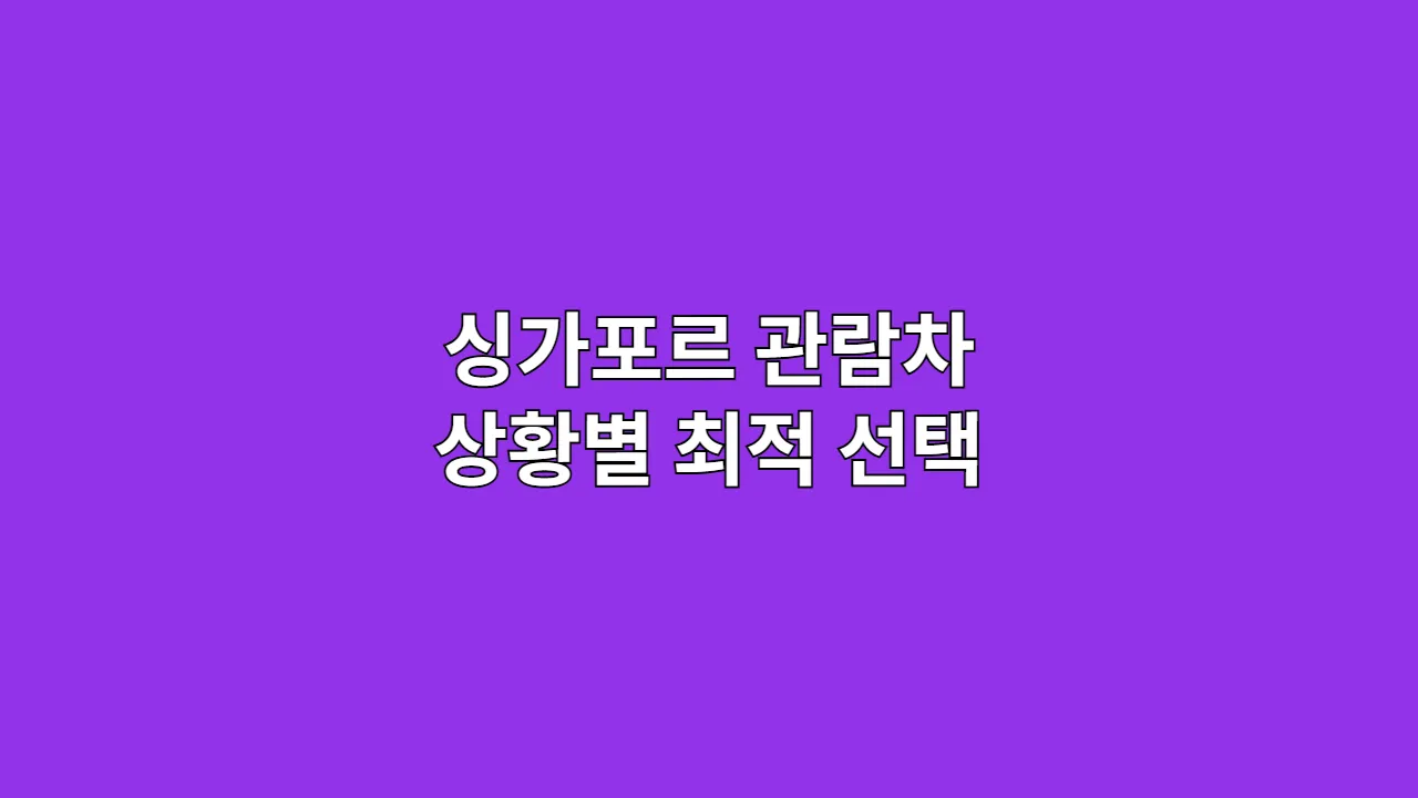 싱가포르관람차상황별