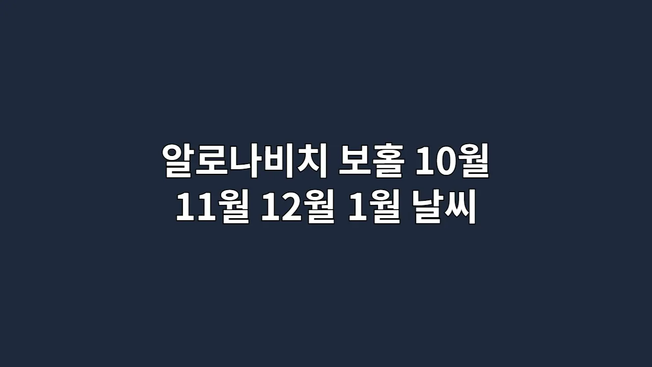 알로나비치보홀10월