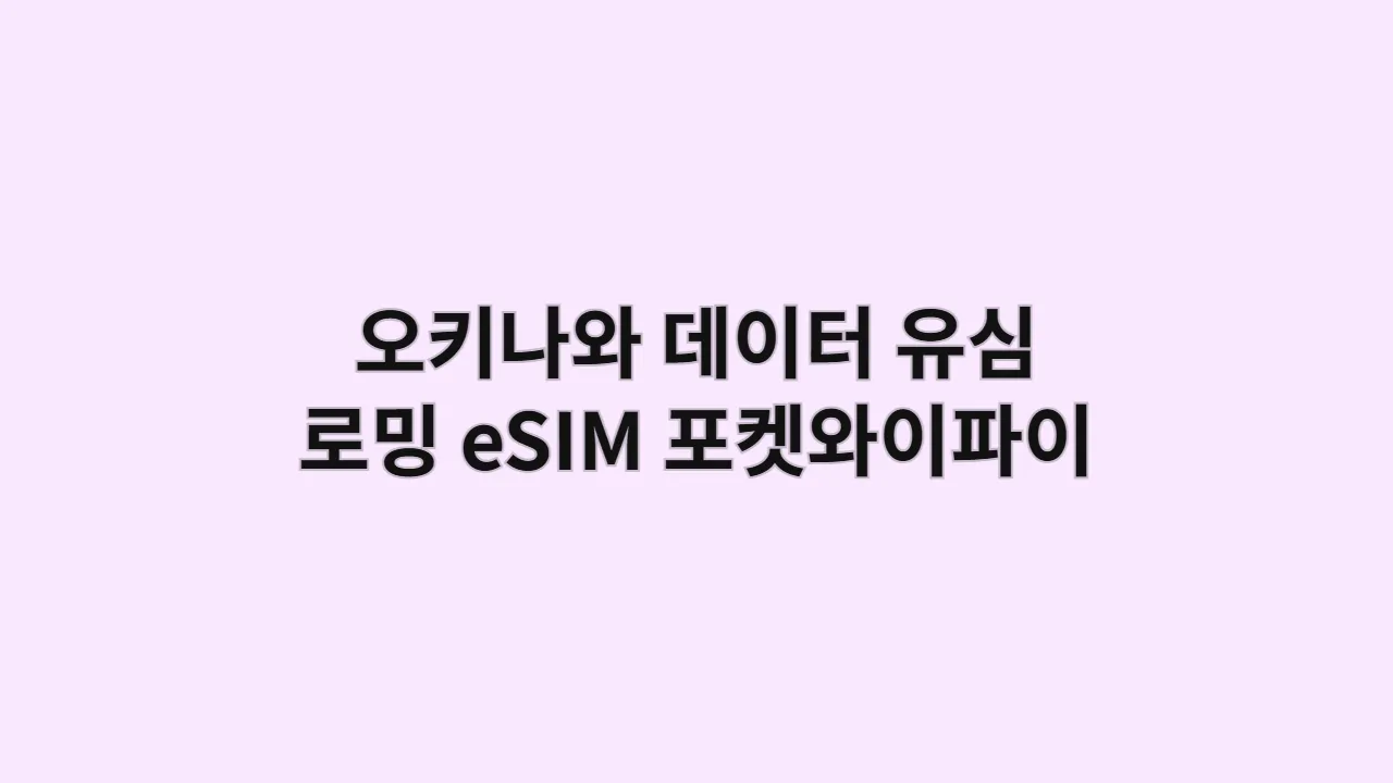 오키나와데이터유심로밍eSIM