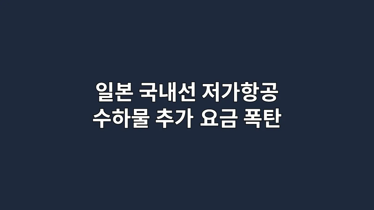일본국내선저가항공수