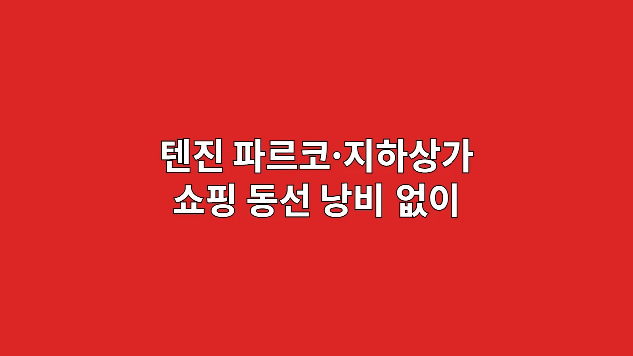텐진파르코지하상가쇼