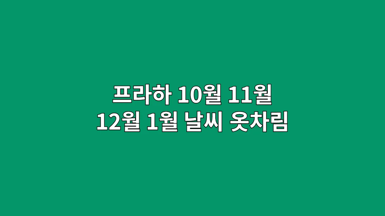 체코 10월, 11월, 12월, 1월 프라하 날씨 옷차림 (카를교)