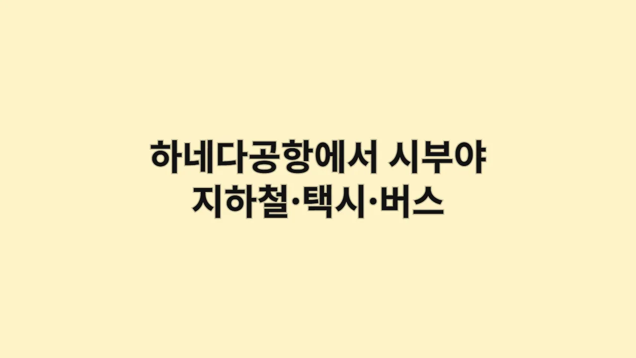 하네다공항에서 시부야까지 이동 경로 종합 안내, 지하철·택시·버스 비교
