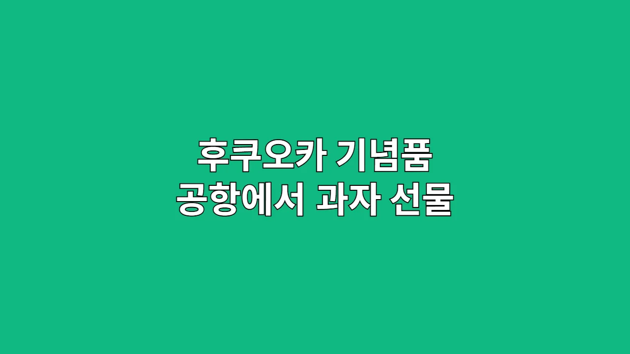 후쿠오카기념품공항에
