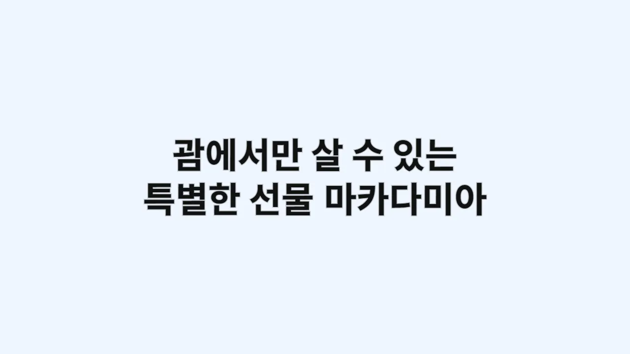 괌에서만 살 수 있는 특별한 선물: 마카다미아, 고디바, 의약품 쇼핑 가이드