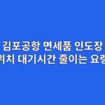 김포공항 면세품 인도장, 5분 만에 찾는 법: 위치, 대기시간 줄이는 요령